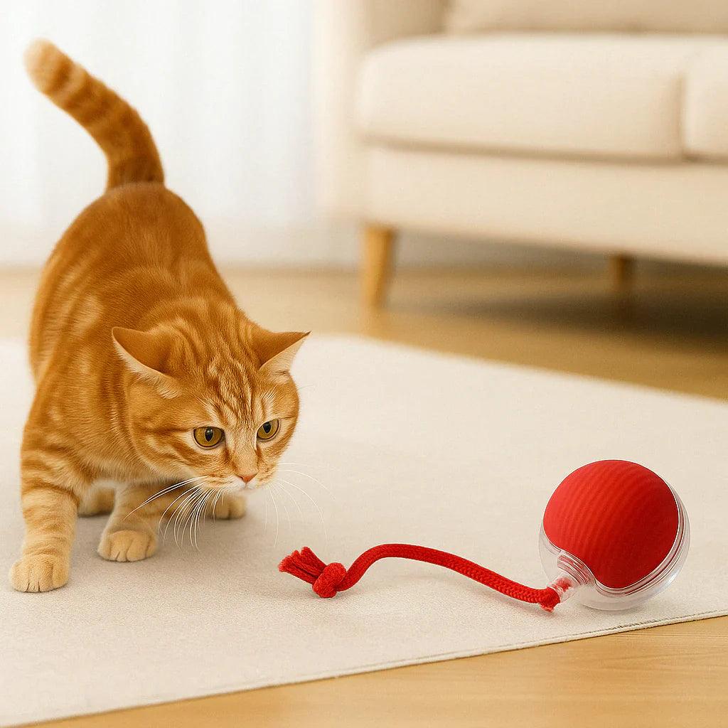 PawPath™ Smart Interactive Dog/Cat Toy