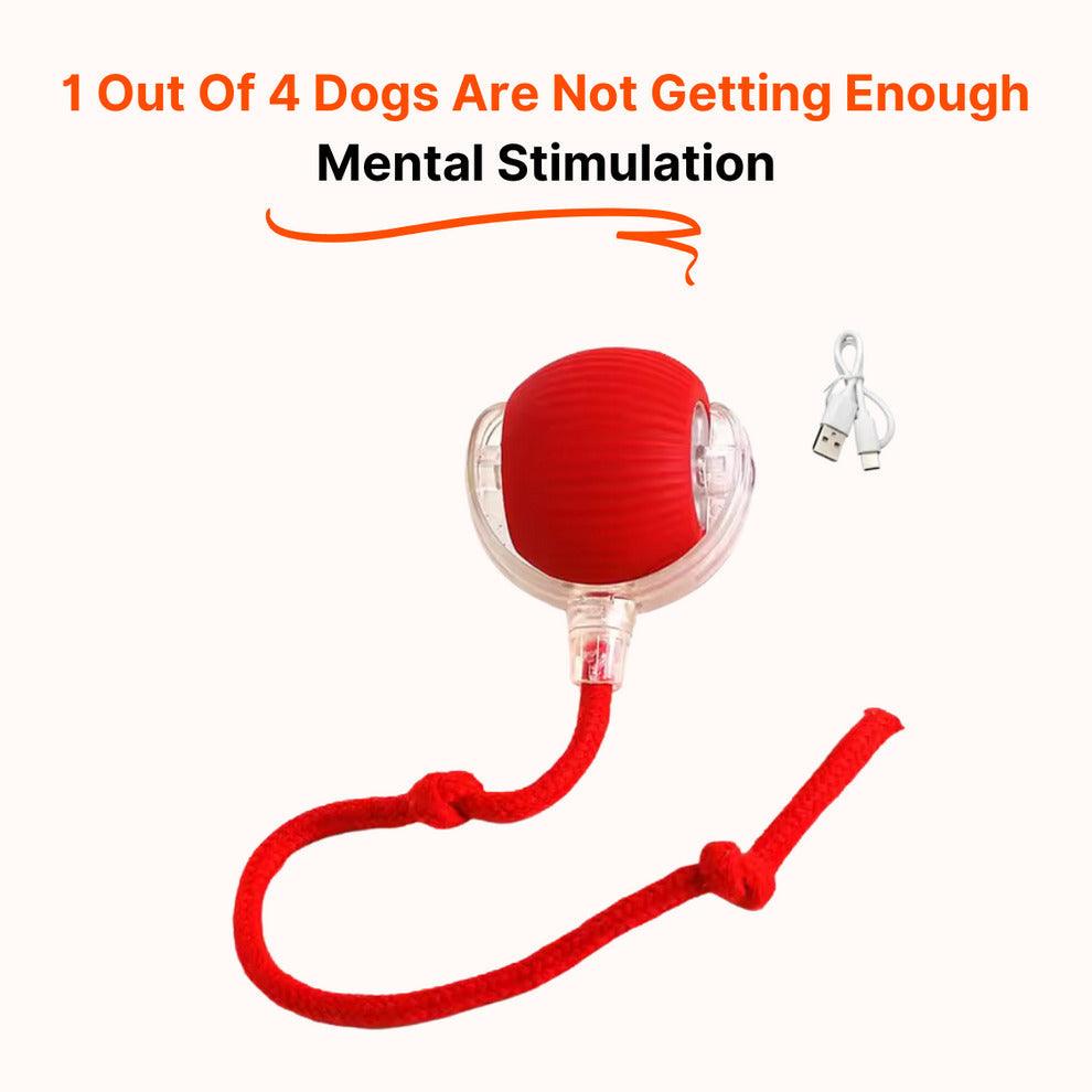 PawPath™ Smart Interactive Dog/Cat Toy