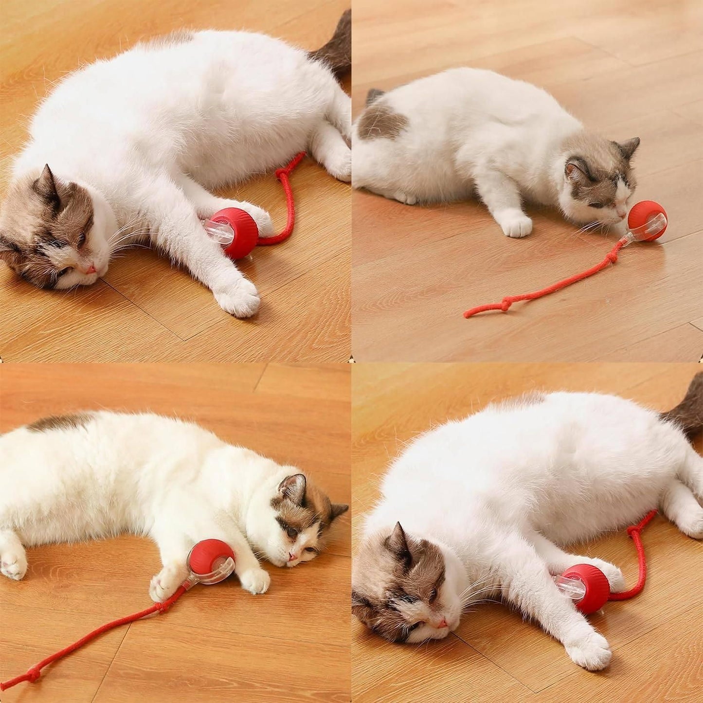 PawPath™ Smart Interactive Dog/Cat Toy