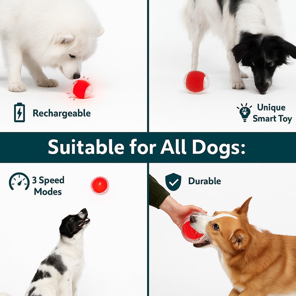 PawPath™ Smart Interactive Dog/Cat Toy