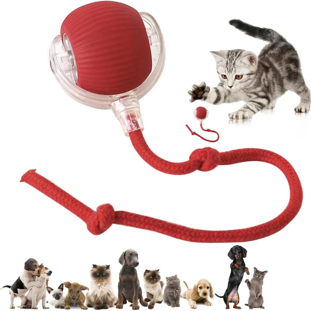 PawPath™ Smart Interactive Dog/Cat Toy