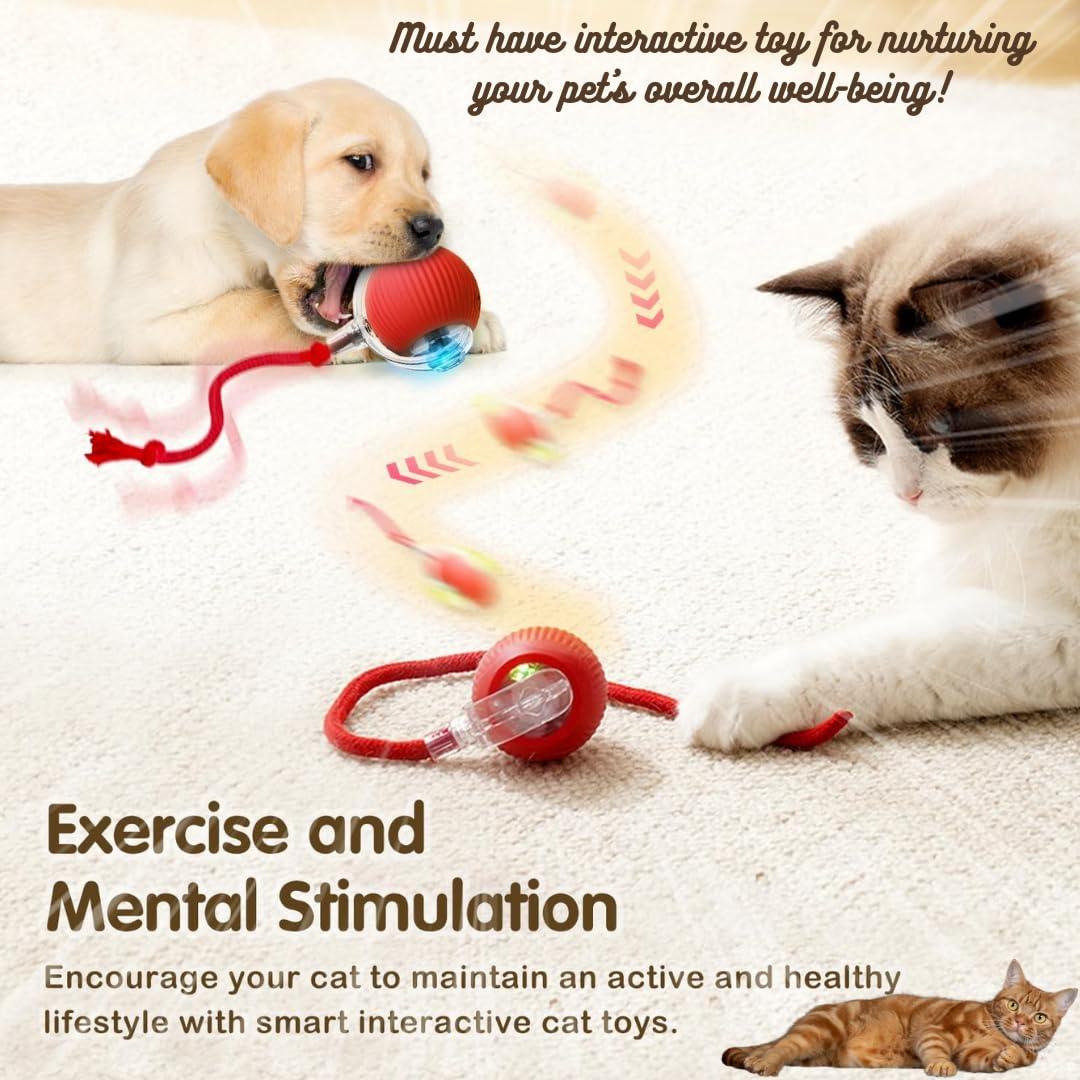 PawPath™ Smart Interactive Dog/Cat Toy