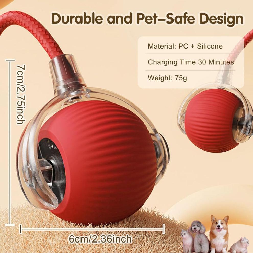 PawPath™ Smart Interactive Dog/Cat Toy