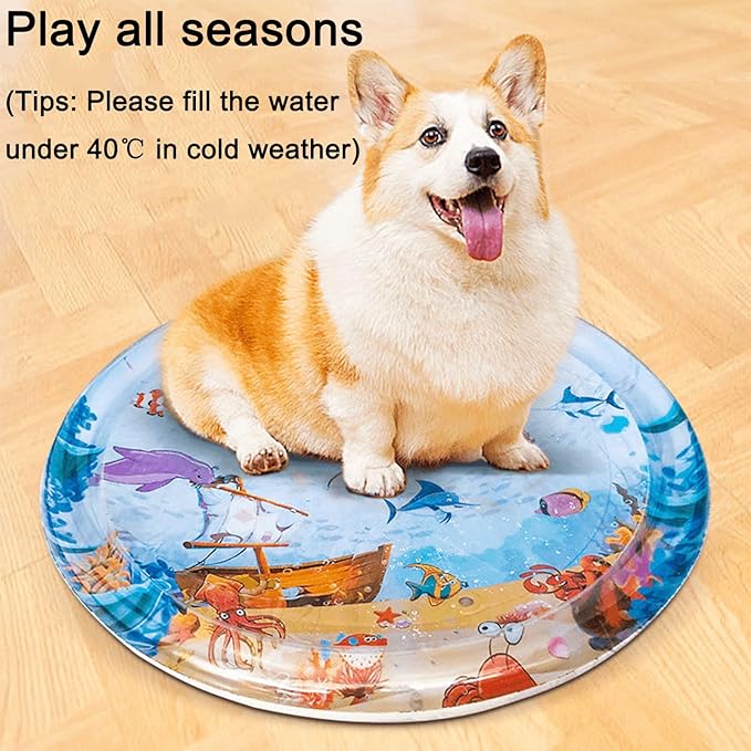 Fun Water Play Mat to Keep Pets Active & Cool ❄️