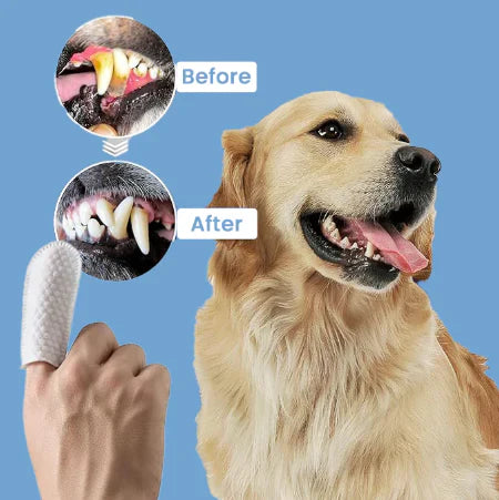 Pet Dental Finger Wipes – Easy Oral Cleaning for Dogs & Cats 🐶🐱