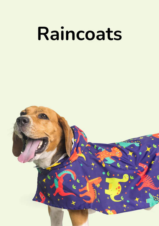 Raincoats