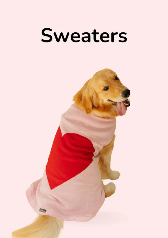 Sweaters