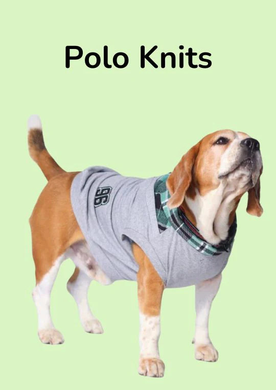 Polo Knits