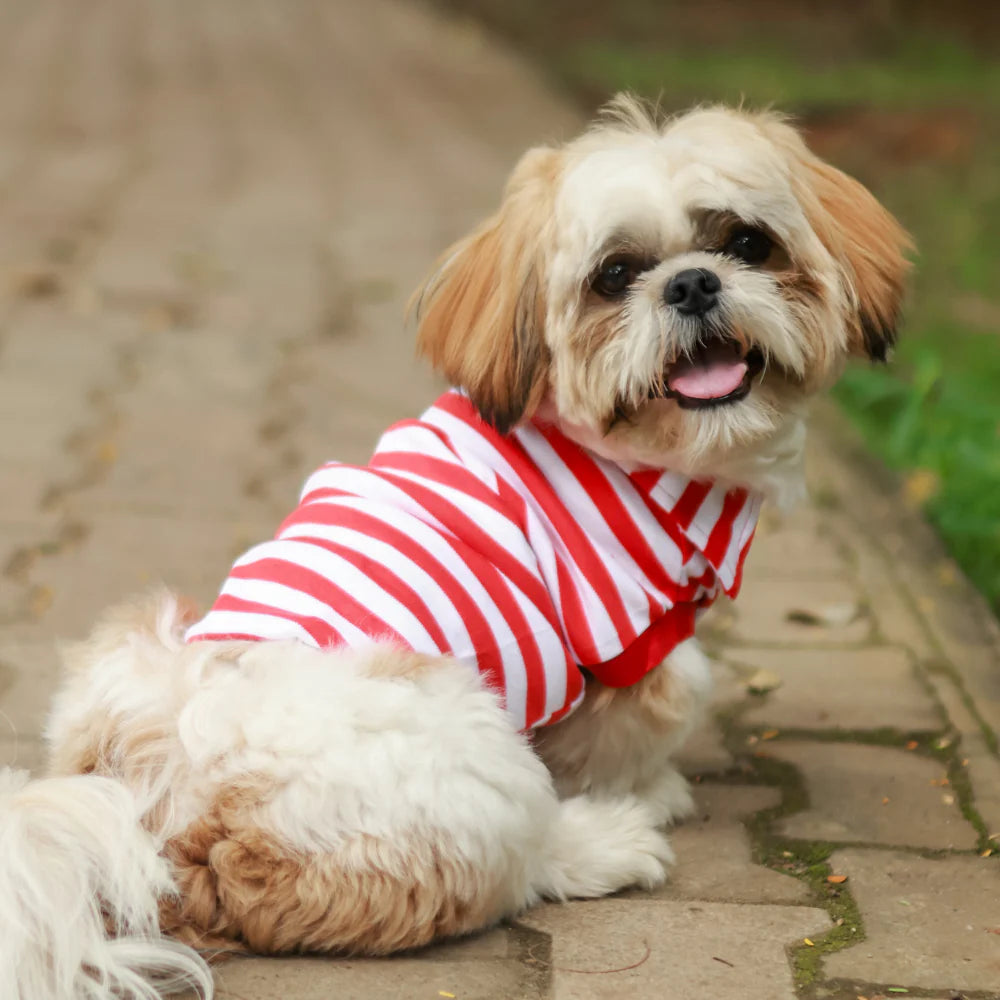 Red Striped Dog Polo Tee