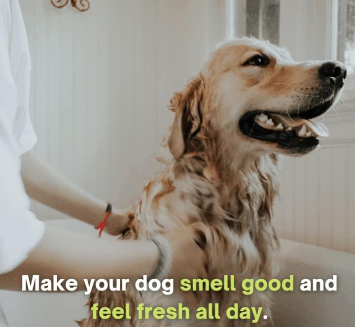 Anti-Itch Dog Shampoo|Ditch to Itch (Buy 1 Get 1 Free)