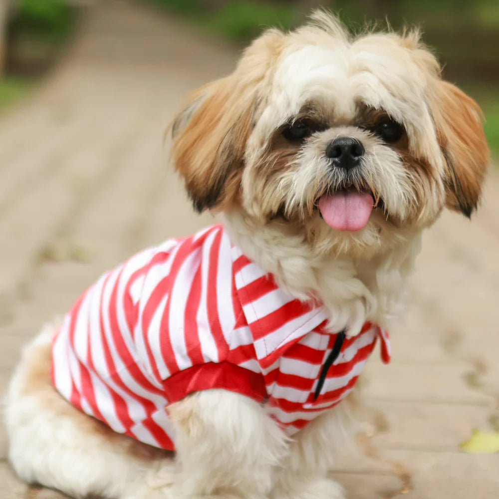 Red Striped Dog Polo Tee