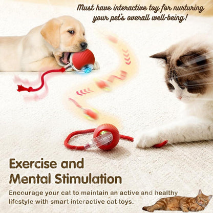 PawPath™ Smart Interactive Dog/Cat Toy