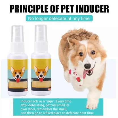 Natural Potty Training Spray for Dogs & Cats 🐕🐈 (Pack of 2)