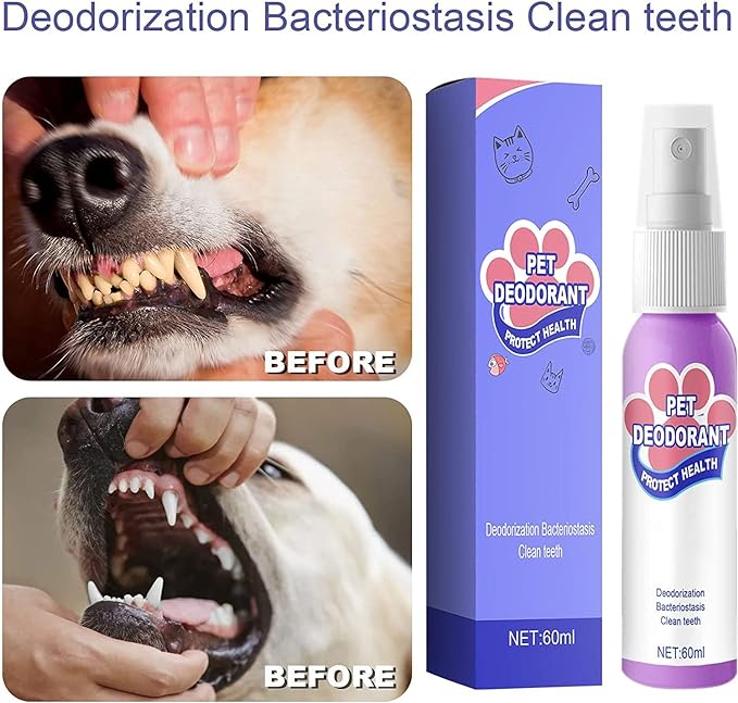 Oral Spray, 🦷Teeth Cleaning Spray for Dogs & Cats