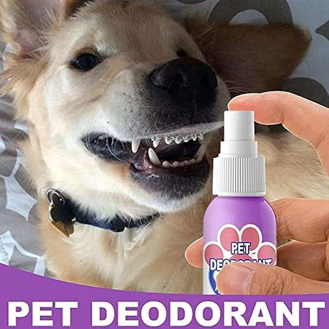 Oral Spray, 🦷Teeth Cleaning Spray for Dogs & Cats