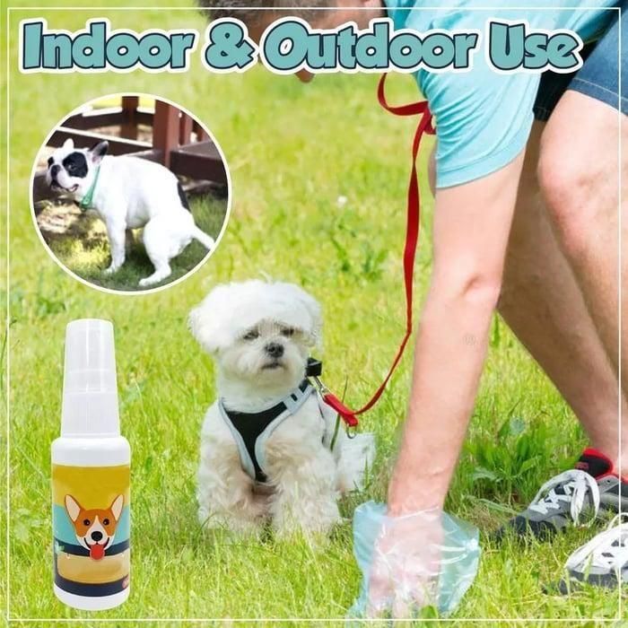 Natural Potty Training Spray for Dogs & Cats 🐕🐈 (Pack of 2)