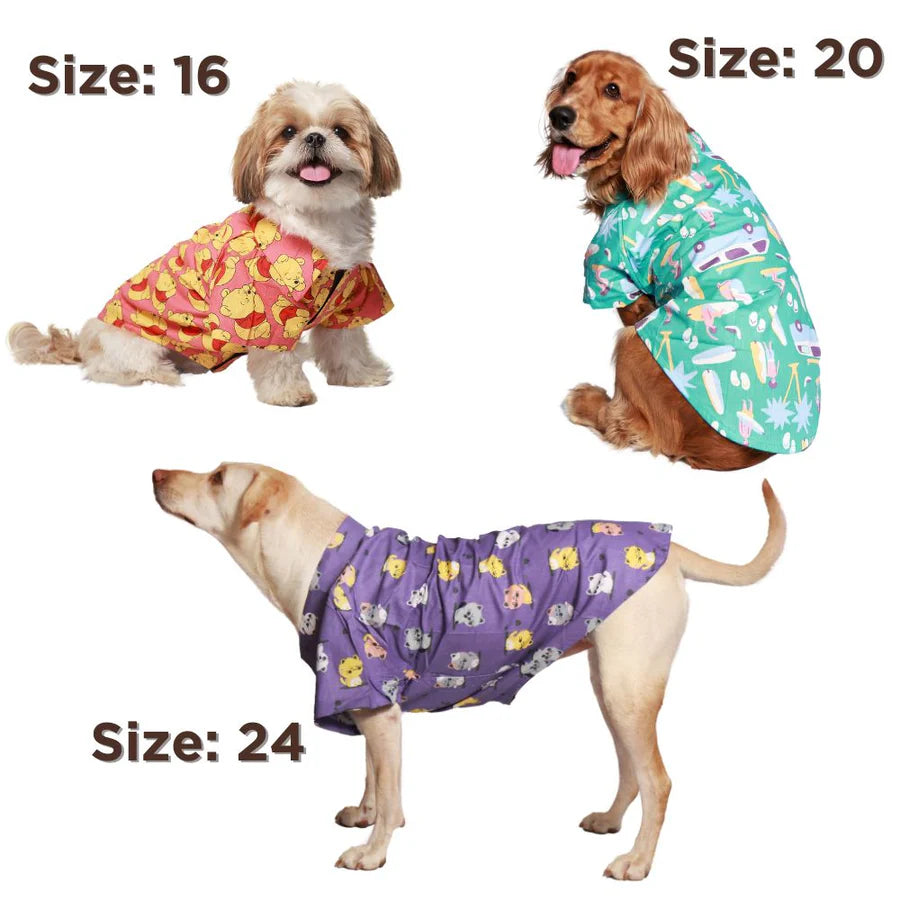 Pack of 2 Dog Shirts Summery